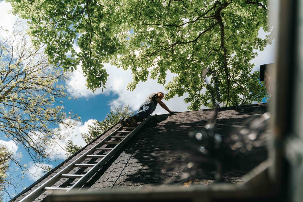 Dachleiter-Test: Ein Mann steht auf einer Dachleiter und betrachtet die Äste eines über den First hängenden Baums.