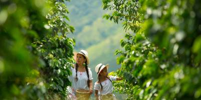 Eine Mutter und eine Tochter laufen durch eine Kaffeeplantage und begutachten die Pflanzen. Beide Personen sind gleich gekleidet und gleich frisiert.