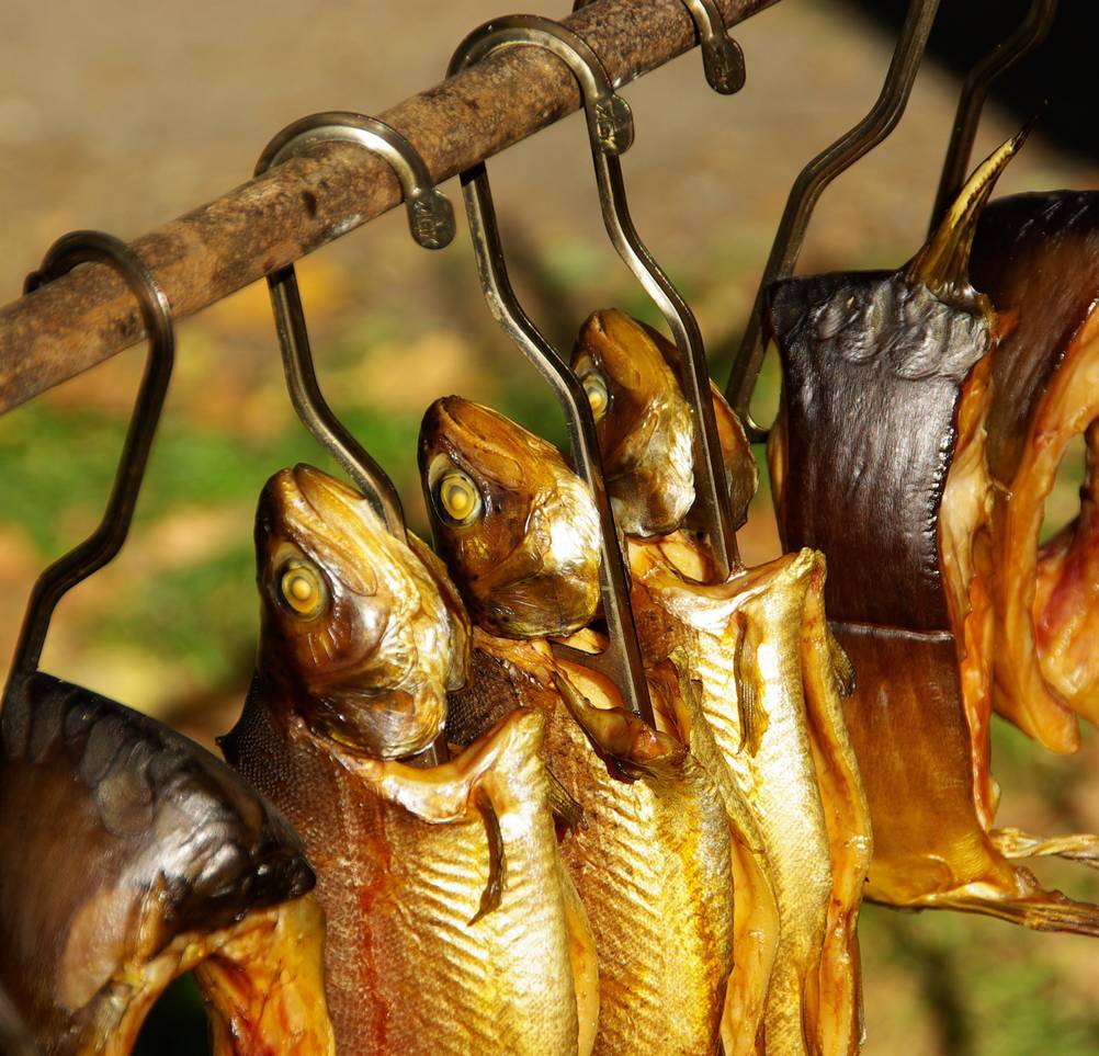 Räuchertonne im Test: geräucherter Fisch hängt an Haken an einer Stange.