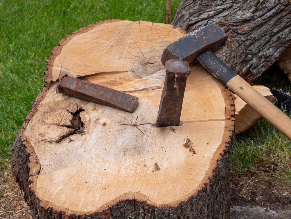 Spalthammer im Test: Hammer und Spaltkeile – einer davon in einem dicken Baumstammstück.