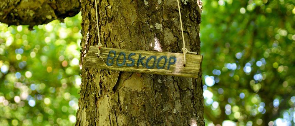 aepfel-richtig-lagern-boskoop
