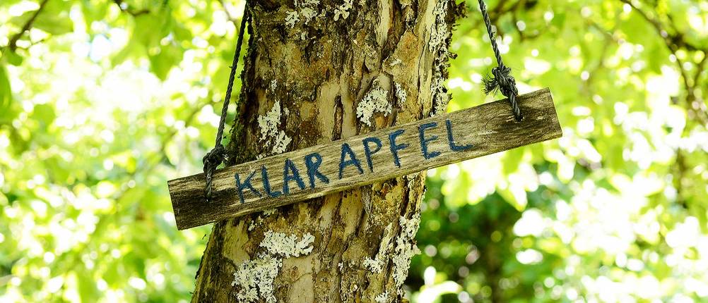 aepfel-richtig-lagern-klarapfel