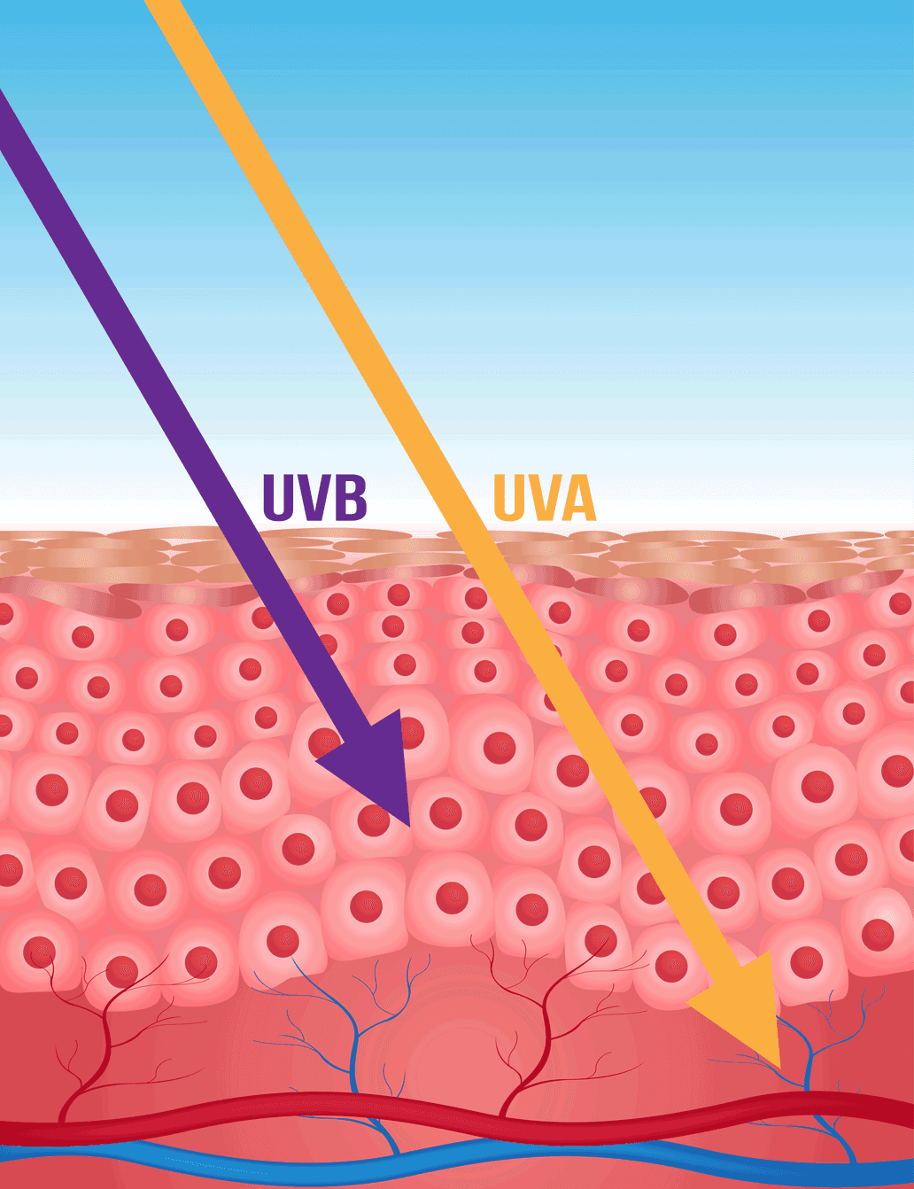 After Sun Test & Vergleich » Top 17 im Oktober 2024
