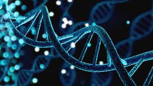 Ahnenforschungs-Software im Test: Ein animierter DNA-Strang.