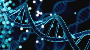 Ahnenforschung Software DNA