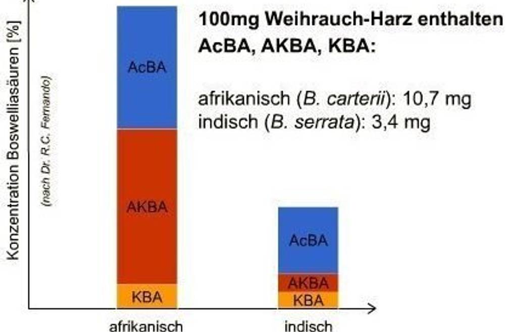 akba-grafik