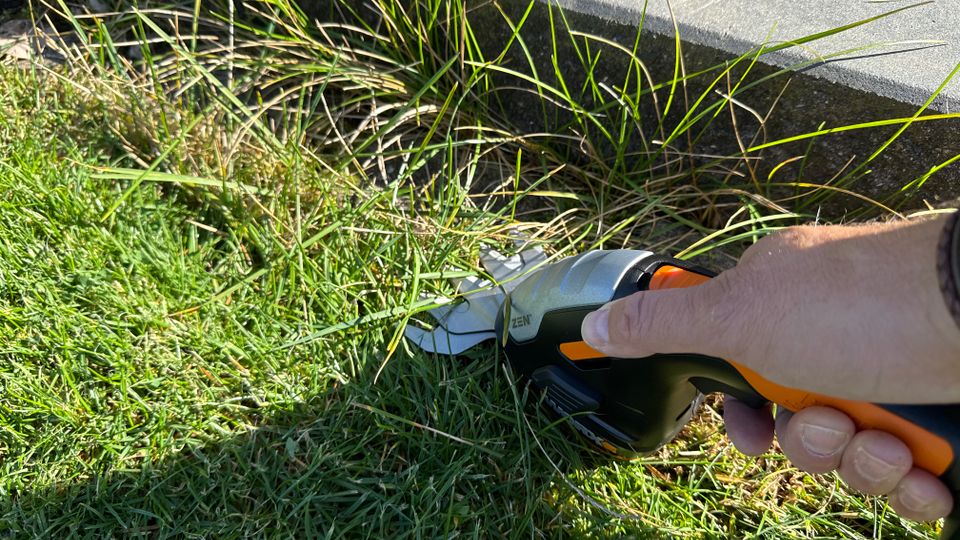 Worx-Akku-Grasschere schneidet Rasen im Garten.