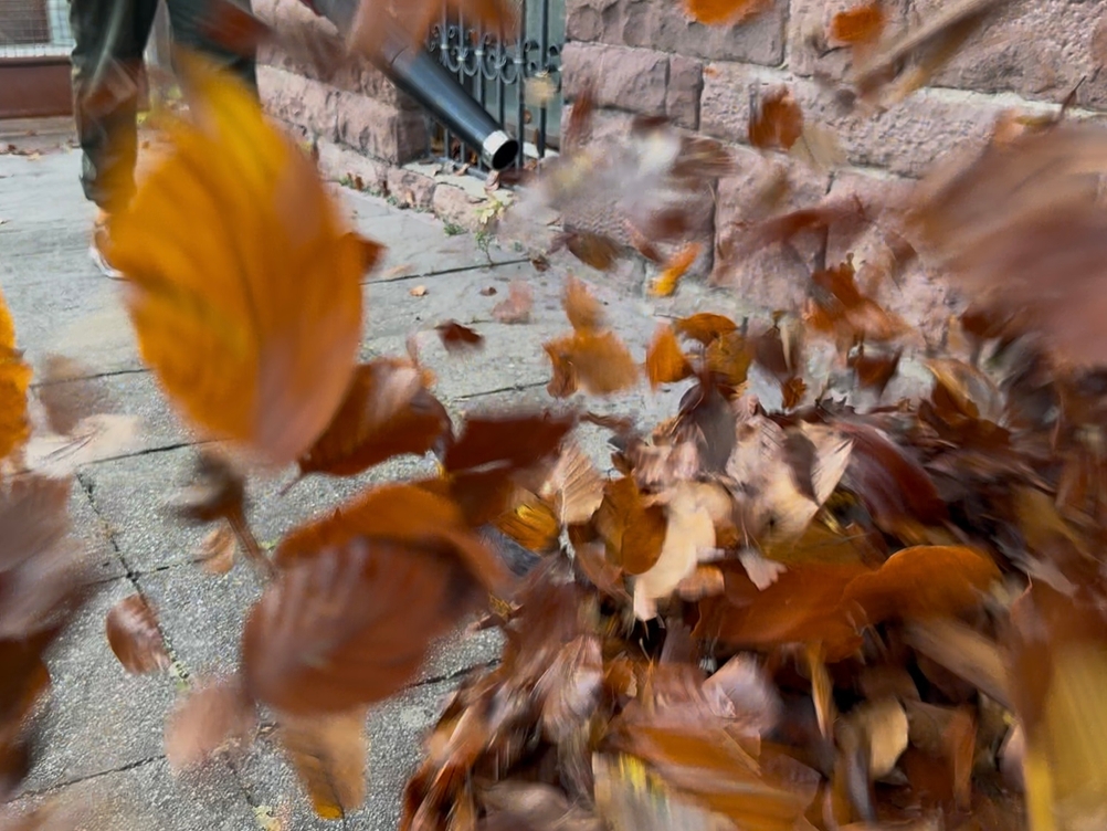 Der getestete Akku-Laubbläser von Einhell bläst im Hof Blätter weg.