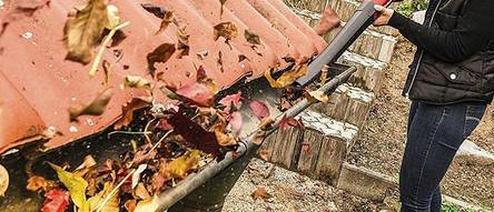 Akku-Laubbläser Test