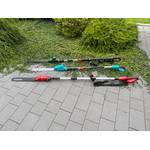 Drei Akku-Teleskop-Heckenscheren liegen nebeneinander auf einem Tisch