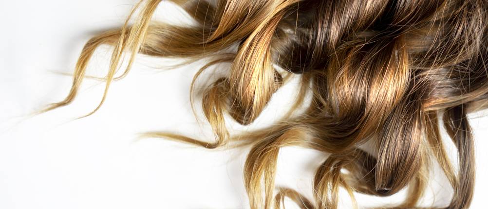 Alcina-Shampoo-Test