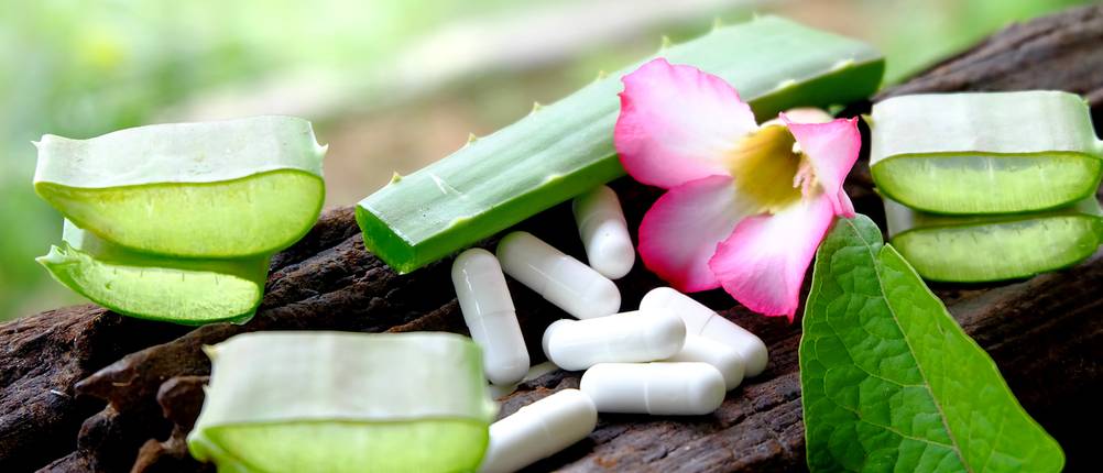 Aloe-vera-Kapsel-Test: Mehrere Aloe-vera-Kapseln liegen neben einem aufgeschnittenem Aloe-vera-Blatt. 