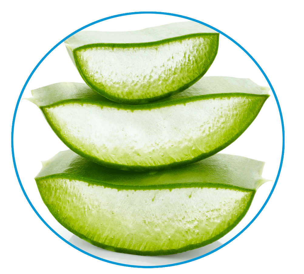 aloe vera saft von innen wirkung abnehmen