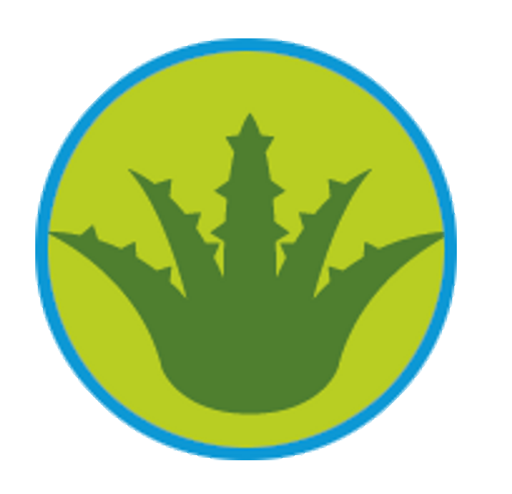 aloe-vera-saft-icons-3