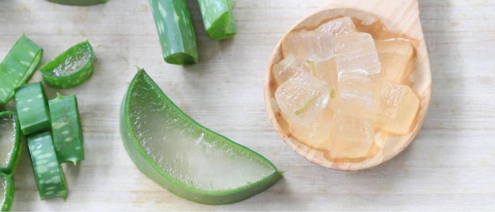aloe-vera-saft-querschnitt-loeffel-gesundheit-wunderpflanze-heilpflanze-echt-aloe vera