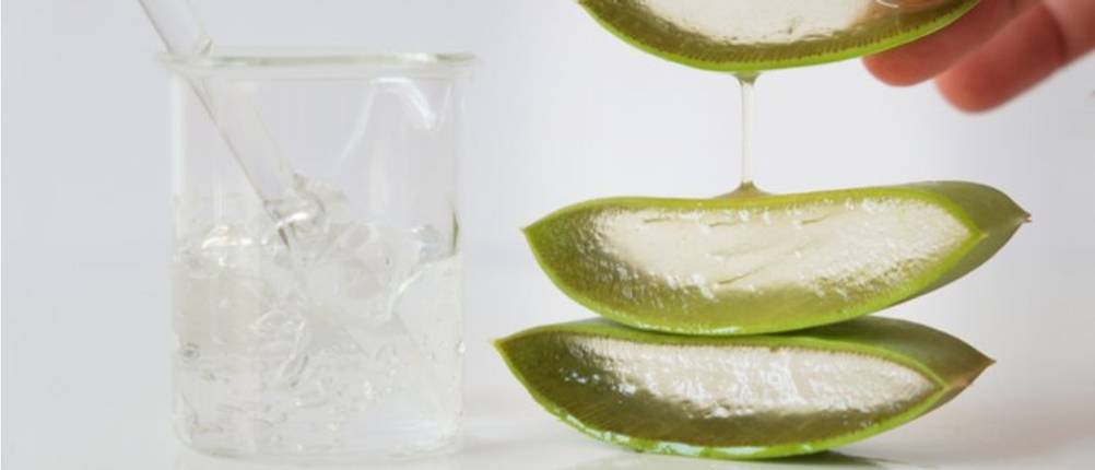 Aloe Vera Saft Testsieger Aloe Vera Saft Kaufen Beste Aloe Vera Saft