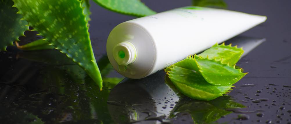 Aloe-vera-Shampoo-Test