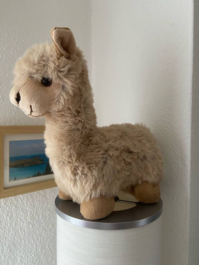 Seitenansicht eines Alpaka-Kuscheltiers auf einer Säule stehend im Test.