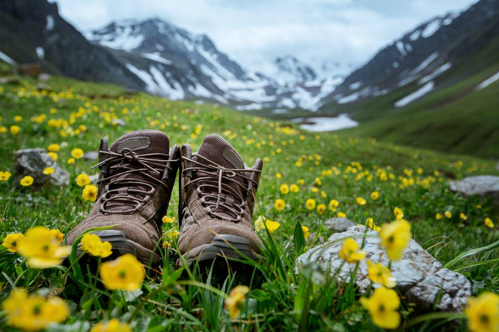 alpinwanderschuhe