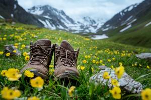 alpinwanderschuhe
