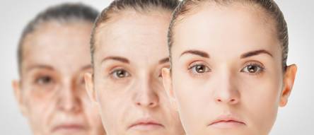 Kollagenhydrolysat test