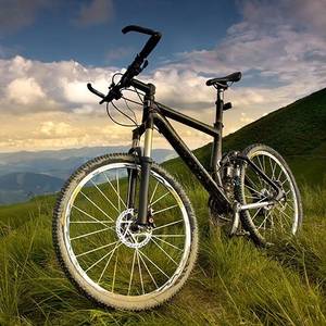 damenfahrrad prophete-fahrrad test