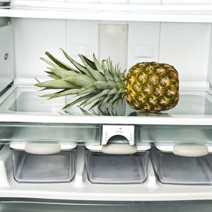 ananas-kuehlschrank