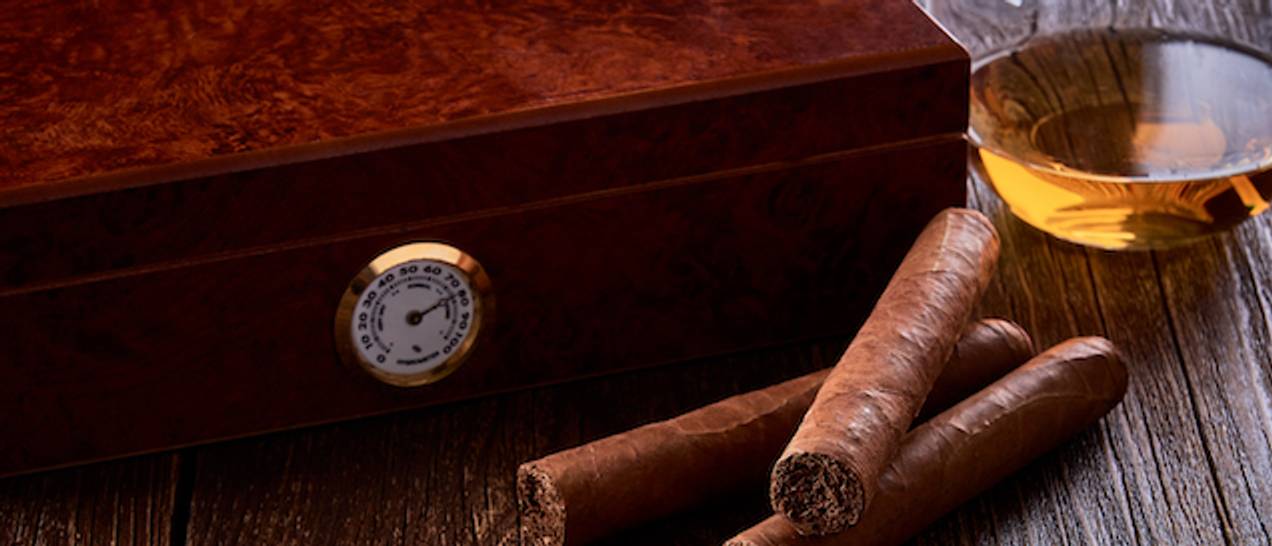 AngeloHumidor Test & Vergleich » Top 11 im Oktober 2024