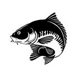 angelrolle-karpfenangeln