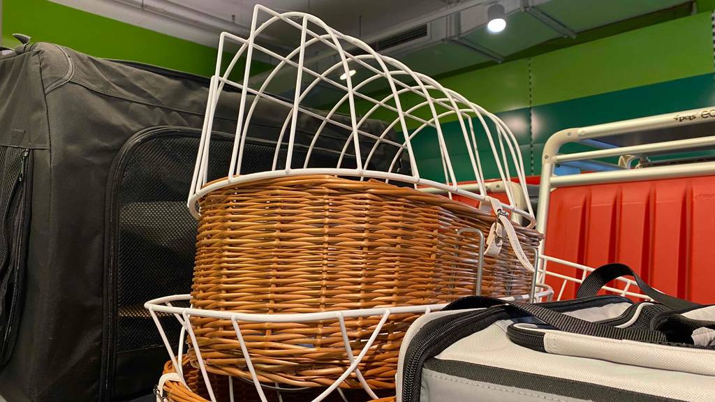 Hundefahrradkorb-Test: Modell aus Korb inklusive weißem Metallgitter steht inmitten anderer Reiseutensilien.