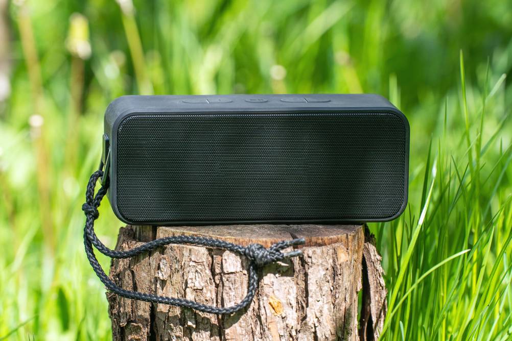 Anker-Bluetooth-Lautsprecher im Test: Eine schwarze Box mit Tragekordel steht auf einem Baumstumpf im Grünen.