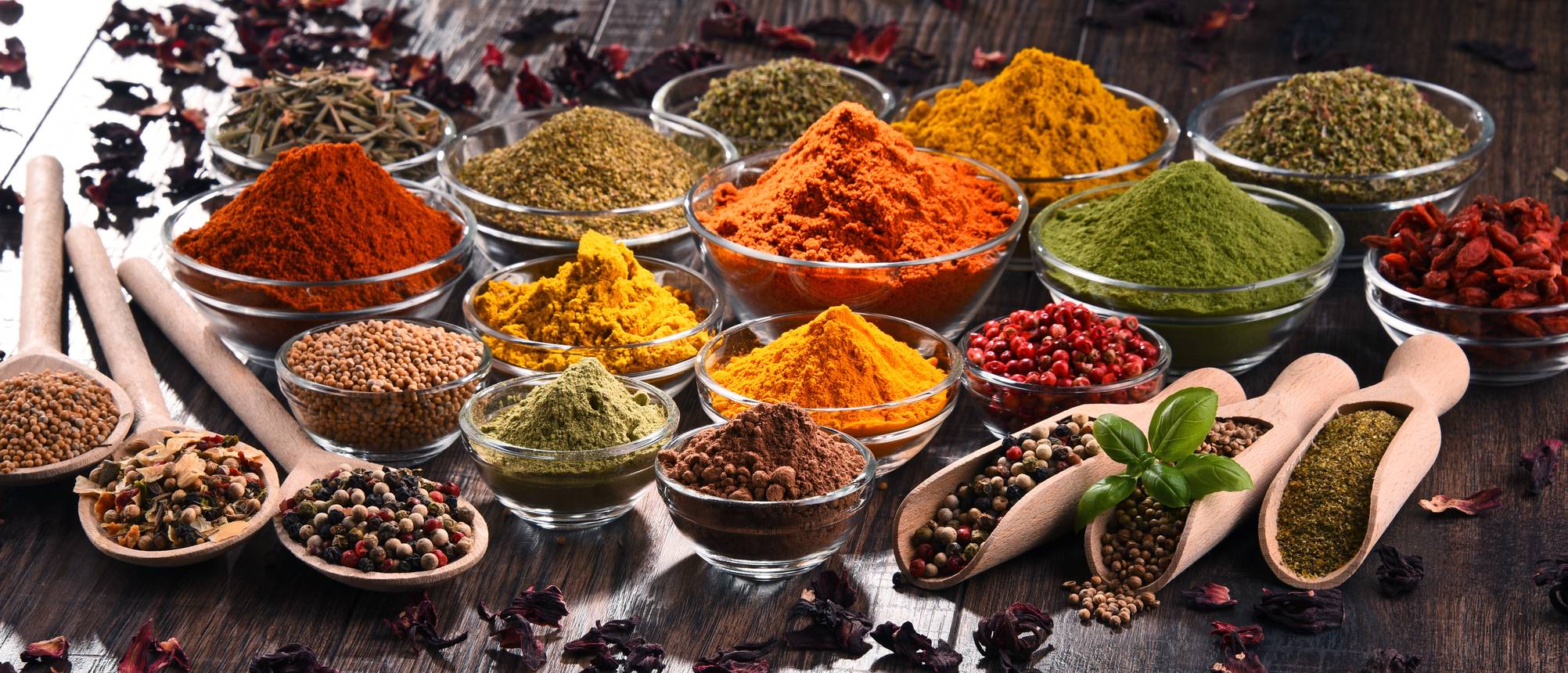 Ankerkraut Test & Vergleich » Top 19 im März 2023