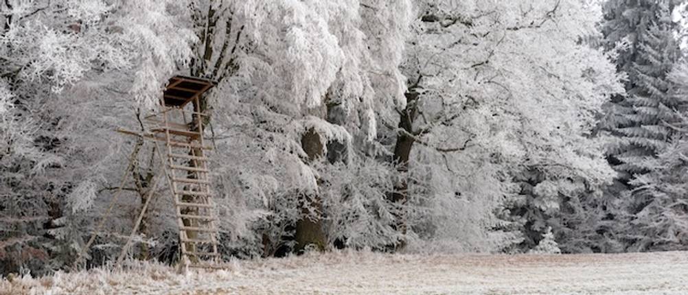 Ansitzsack-Test: Ein Hochsitz für die Jagd in einer verschneiten Winterlandschaft.