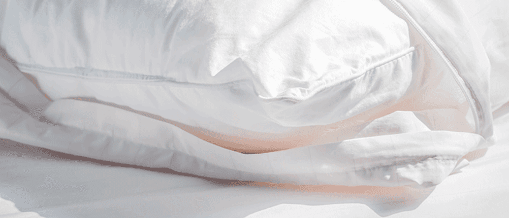 encasing gegen milben