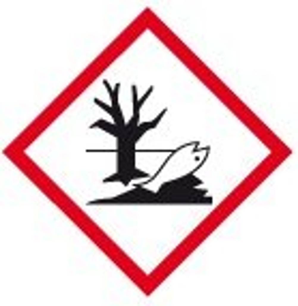 anti-schimmel-farbe-kalkfarbe-gegen-schimmel