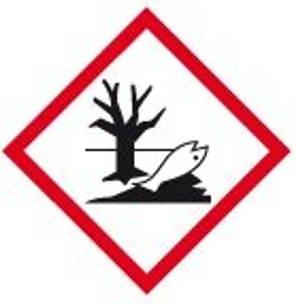 anti-schimmel-farbe-kalkfarbe-gegen-schimmel