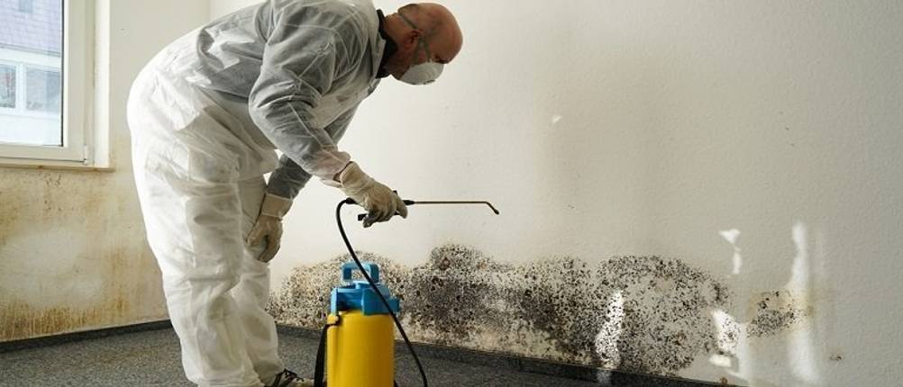 anti-schimmel-farbe-schimmel-entfernen-wand
