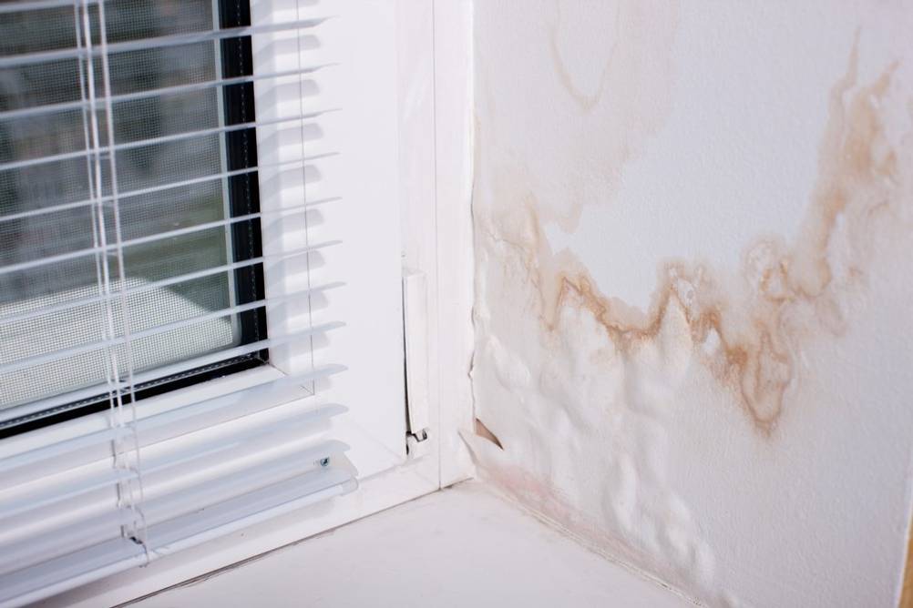 anti-schimmel-farbe-schlafzimmer-wand
