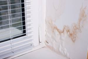 anti-schimmel-farbe-schlafzimmer-wand
