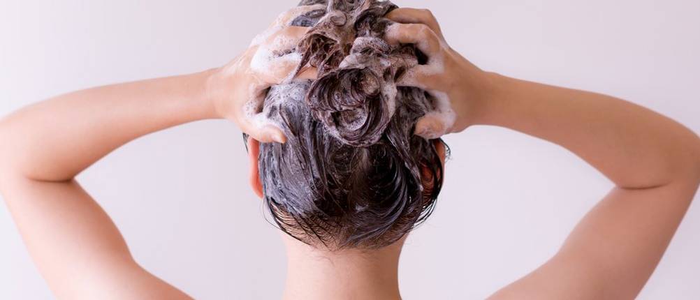 Antischuppenshampoo Test