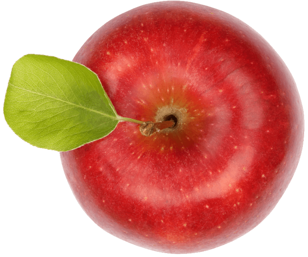 apfelessig gesund