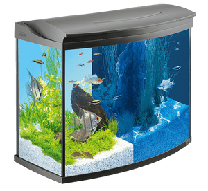aquarium-kleben