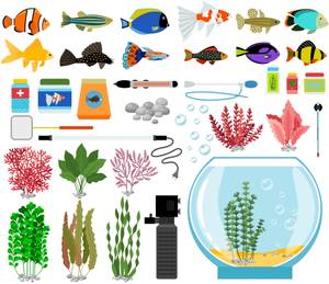 Eine vollständige Ausrüstung für Aquarien beinhaltet zahlreiche Teile