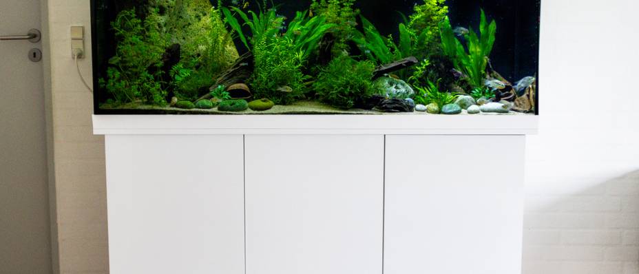 Faszinierend Aquarium Unterschrank 60x30 Fotos