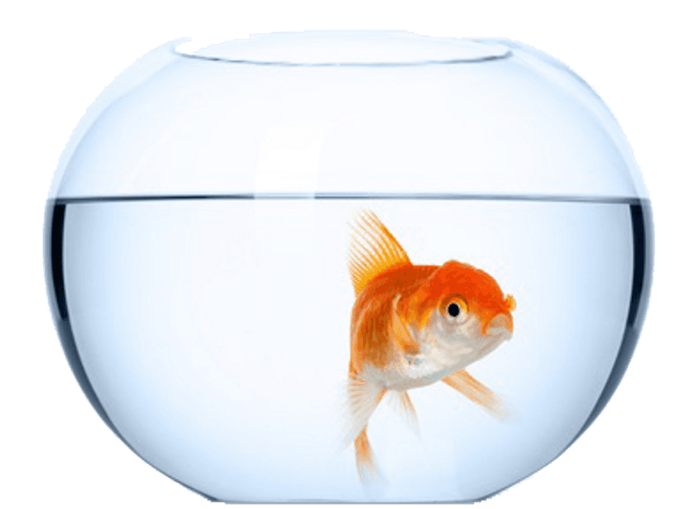 Aquarium