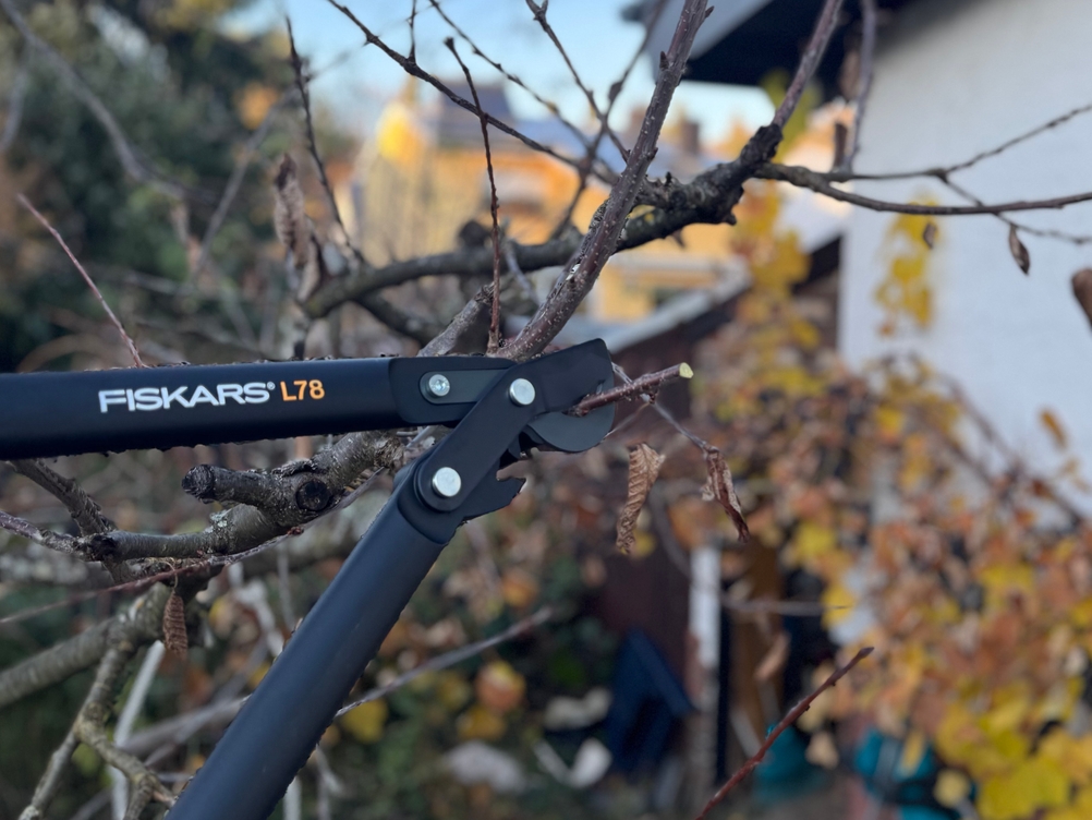 Mit der getesteten Astschere von Fiskars wird ein Ast von einem Baum durchtrennt.