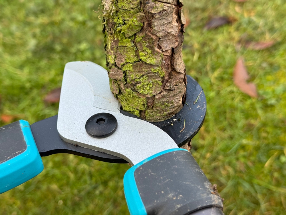 Die getestete Astschere von Gardena durchtrennt einen dicken Ast.