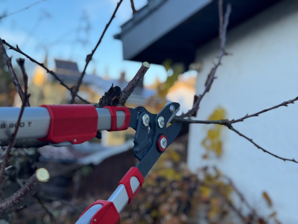 Mit der getesteten Astschere von Wolf Garten wird ein Ast von einem Baum durchtrennt.