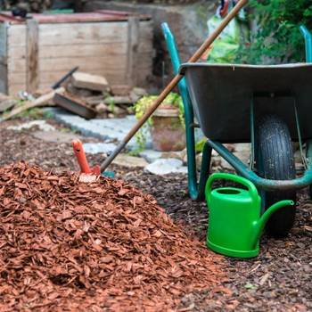 Rindenmulch Test & Vergleich Top 10