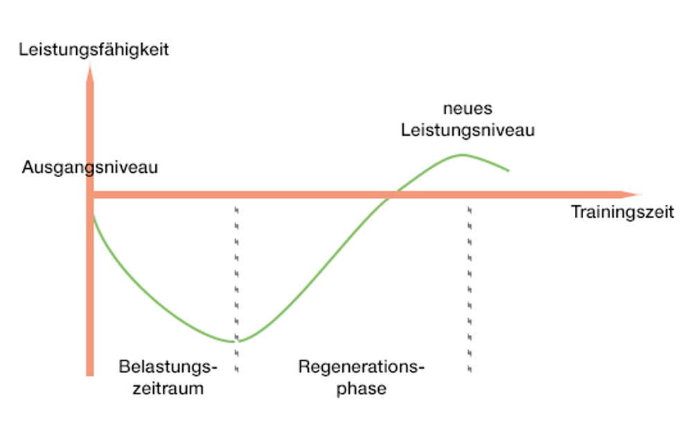 Kurve zeigt Ausdauersteigerung